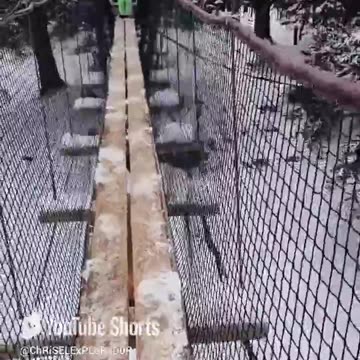 "¡Aventura en un Puente Colgante Nevado! 🌲❄️"