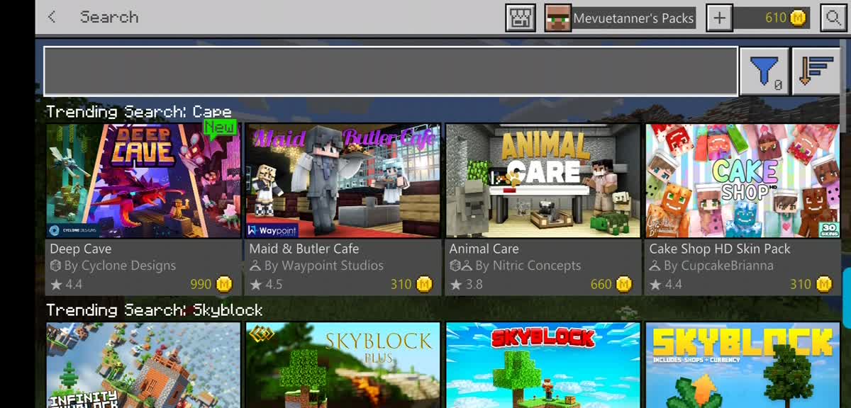 Minecraft smp realm 1x3