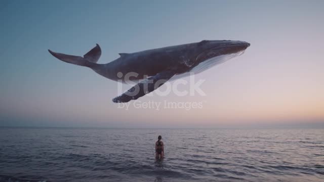 Blue Whale Jumping