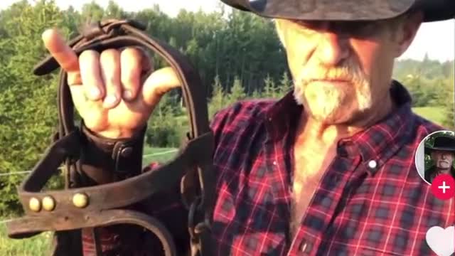 1607. BLINDERS🚨 Wake Up CIVILIZATION 🚨 B4: ITS TOO LATE!