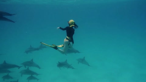 freediver woman ln touch with dolphins in the sea