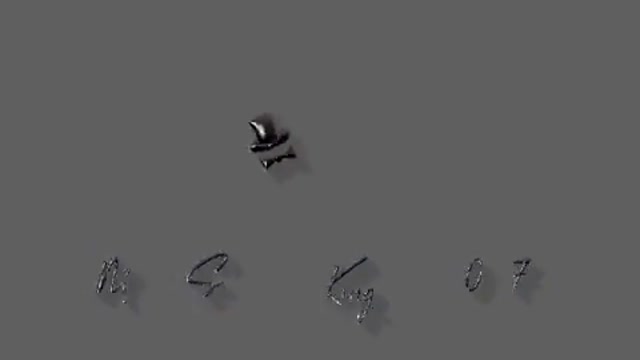 New song