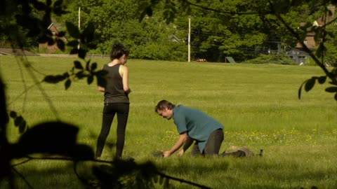 Surprise metal detector marriage proposal