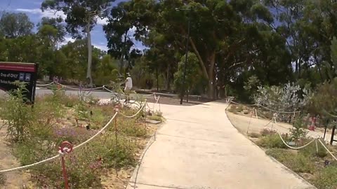 Cycling - 2019 02 @KingsParkandBotanicGarden (@stravainc link in description)