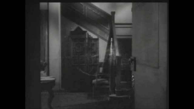 Five Bodies
