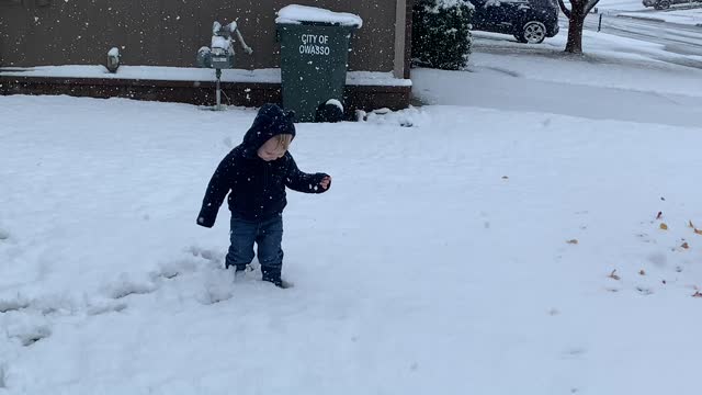 Jax’s first day in snow