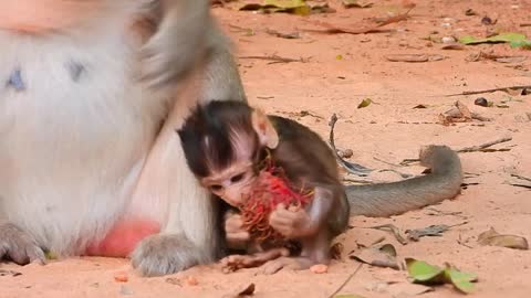 Golda Delighted Play With Mother