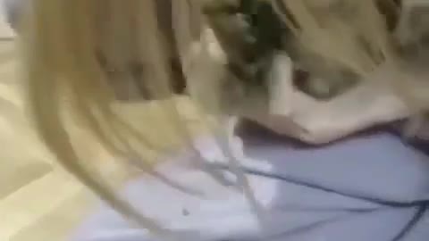 The cheeky cat was faster!