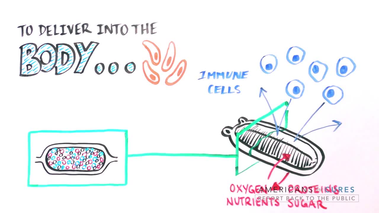 Progress and Promise of Stem Cell Research: Diabetes TYPE 1