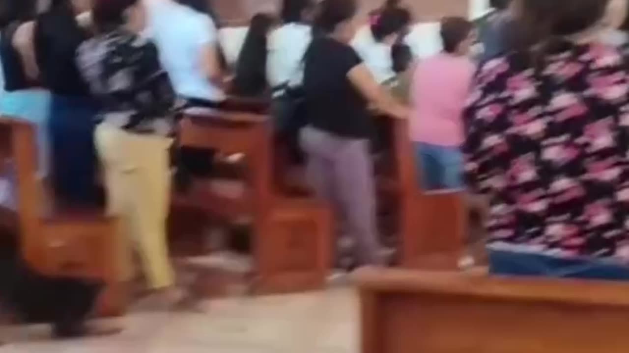 Dog going to church