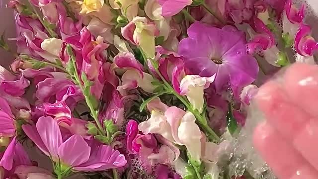 Overhead Shot of Flowers in Water