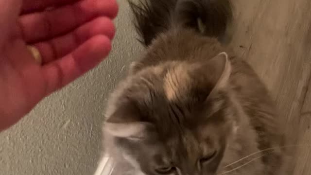 Lucy gets Headrubs