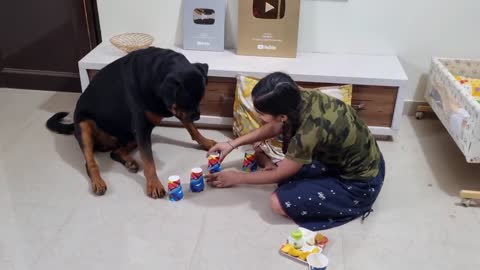 Dog and a baby playing a game.