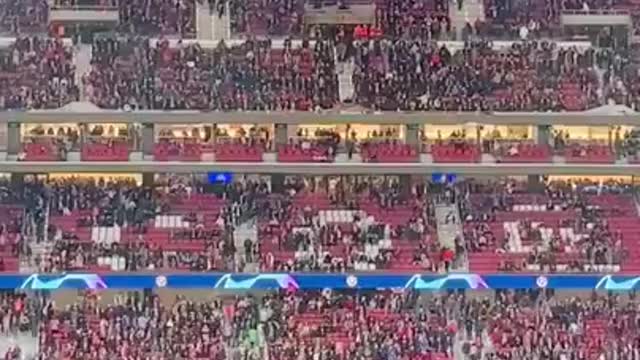 البوت