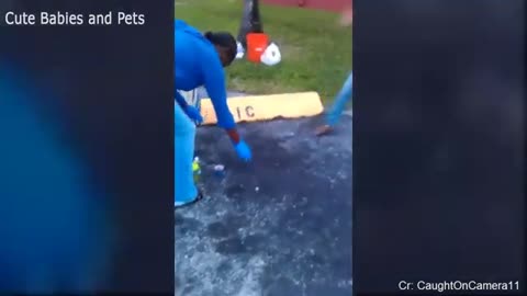 animals chasing people funny