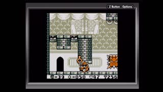 Wario Land: Super Mario Land 3 No-Death Playthrough (Game Boy Player Capture) - SS Tea Cup