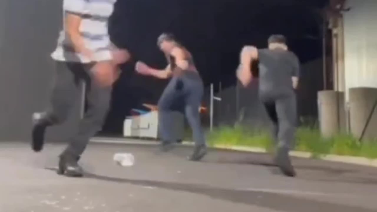 Egg Toss
