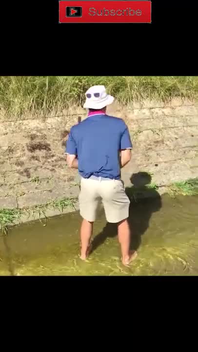 Best Funny Video Clips #shorts (100)