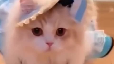 Look at the cute angel 😇