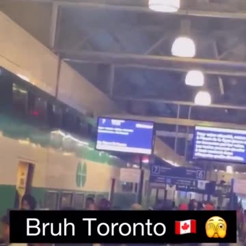 No Canadians left in Toronto thank Trudeau and his jewish handlers for this invasion replacement