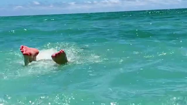 Me just swimming in the ocean and see a school of fish