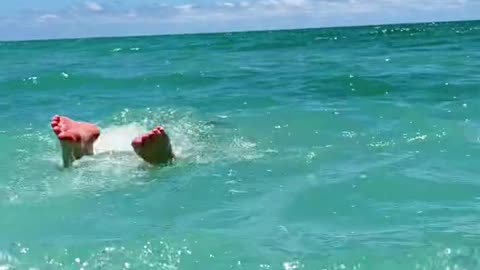 Me just swimming in the ocean and see a school of fish