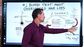 Dr. Eric Berg - The Blood Test Most Overlooked for Hair Loss