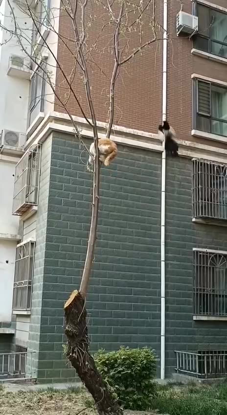 I surrender. Truce. Your terms unacceptable 😂😂