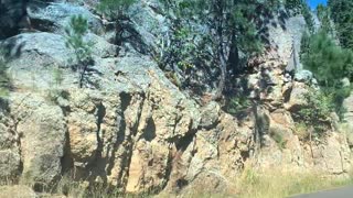 This is America! Needles Highway, Custer State Park South Dakota #2