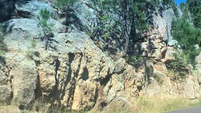 This is America! Needles Highway, Custer State Park South Dakota #2