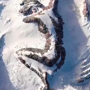 Beautiful paint😍but real