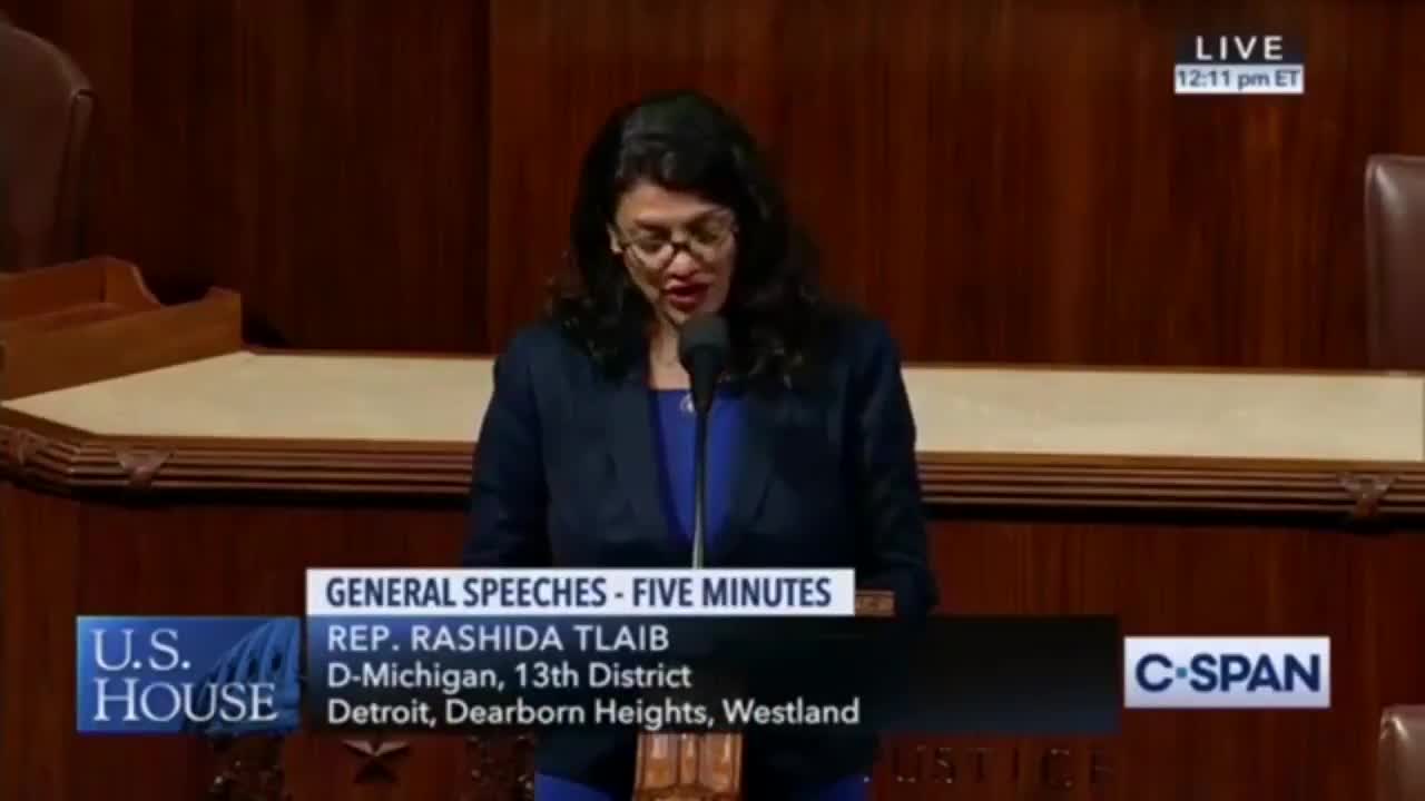 Rashida Tlaib likens Israel to Nazi Germany