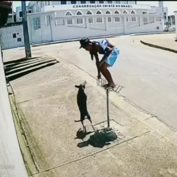 BITTEN by 3 Attack Dogs!