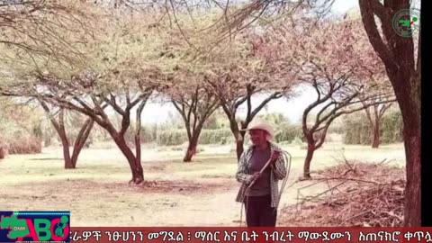 ONM-ABO -መጋብት 31-2024 ዓ.ም ሳምንታዊ የኦሮሞ ነፃነት ሠራዊት ዉሎ ።