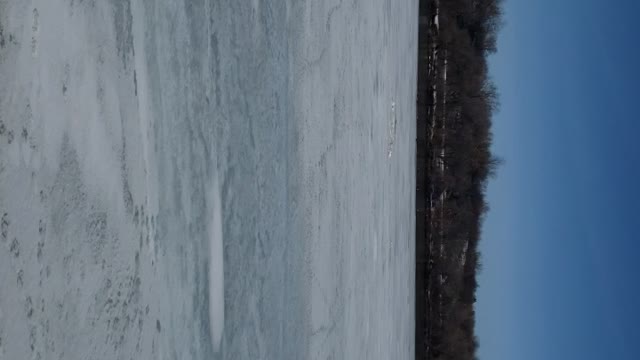 Ducks on the frozen River