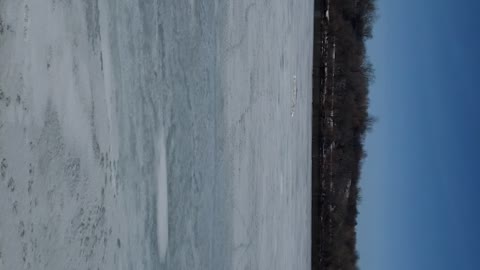 Ducks on the frozen River