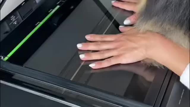 Owner and dog making memories with photocopier