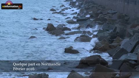 5784-001 AVORTEMENT : CE QUE L’ON NE VOUS DIT PAS. DES FEMMES TÉMOIGNENT