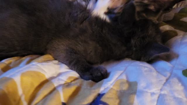 Adorable big sister cleaning baby brother
