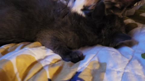 Adorable big sister cleaning baby brother