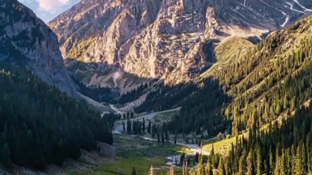 Nature's Beauty