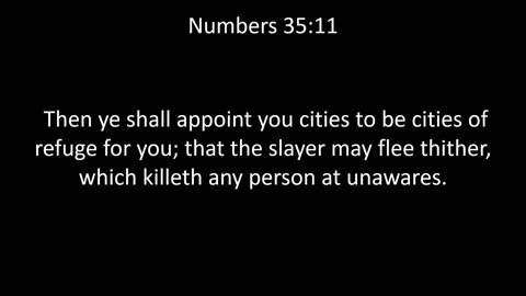 KJV Bible Numbers Chapter 35