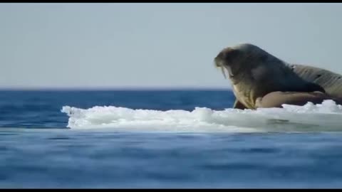 How to be home 🏡 to be there for the night and I was a good day