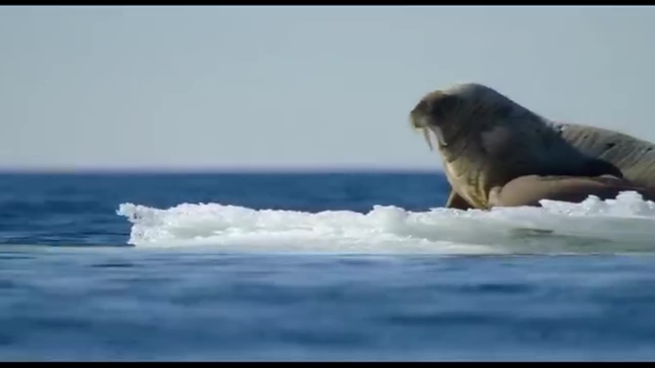 How to be home 🏡 to be there for the night and I was a good day