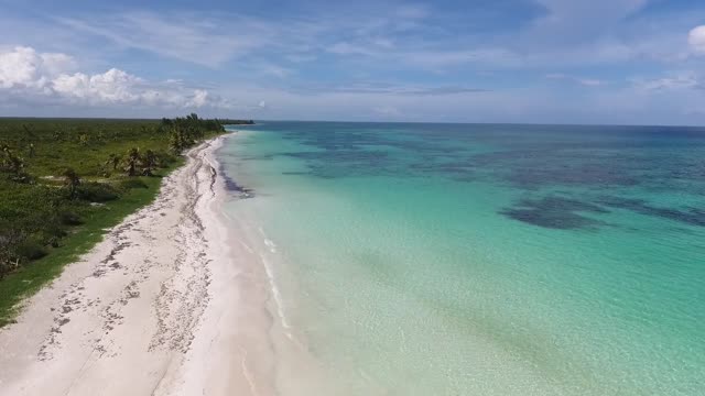 Very beautiful beach against miles of forest