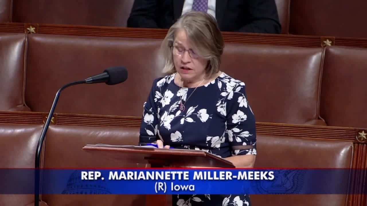 Mariannette Miller-Meeks Decries Democrats' 'Radical And Extreme Abortion Bill'