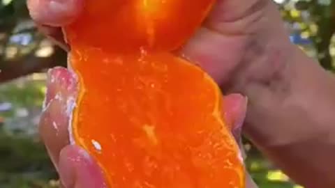 Fresh fruit juice
