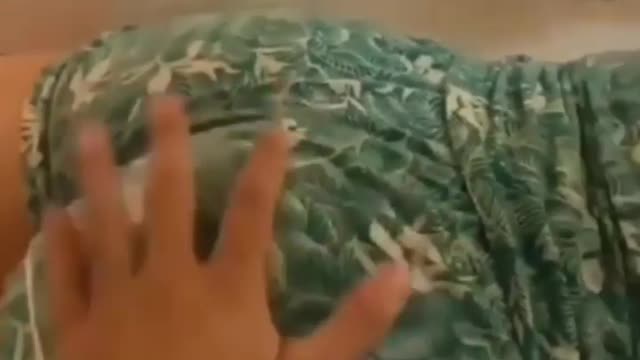 Dog Learned Something New
