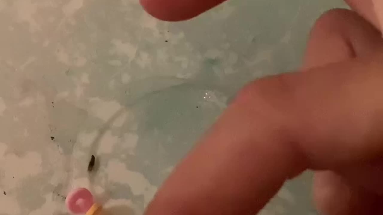 POV