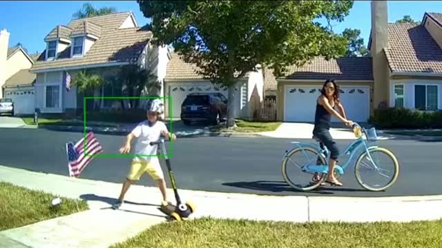 Child ripping American Flag out of neighbors yard